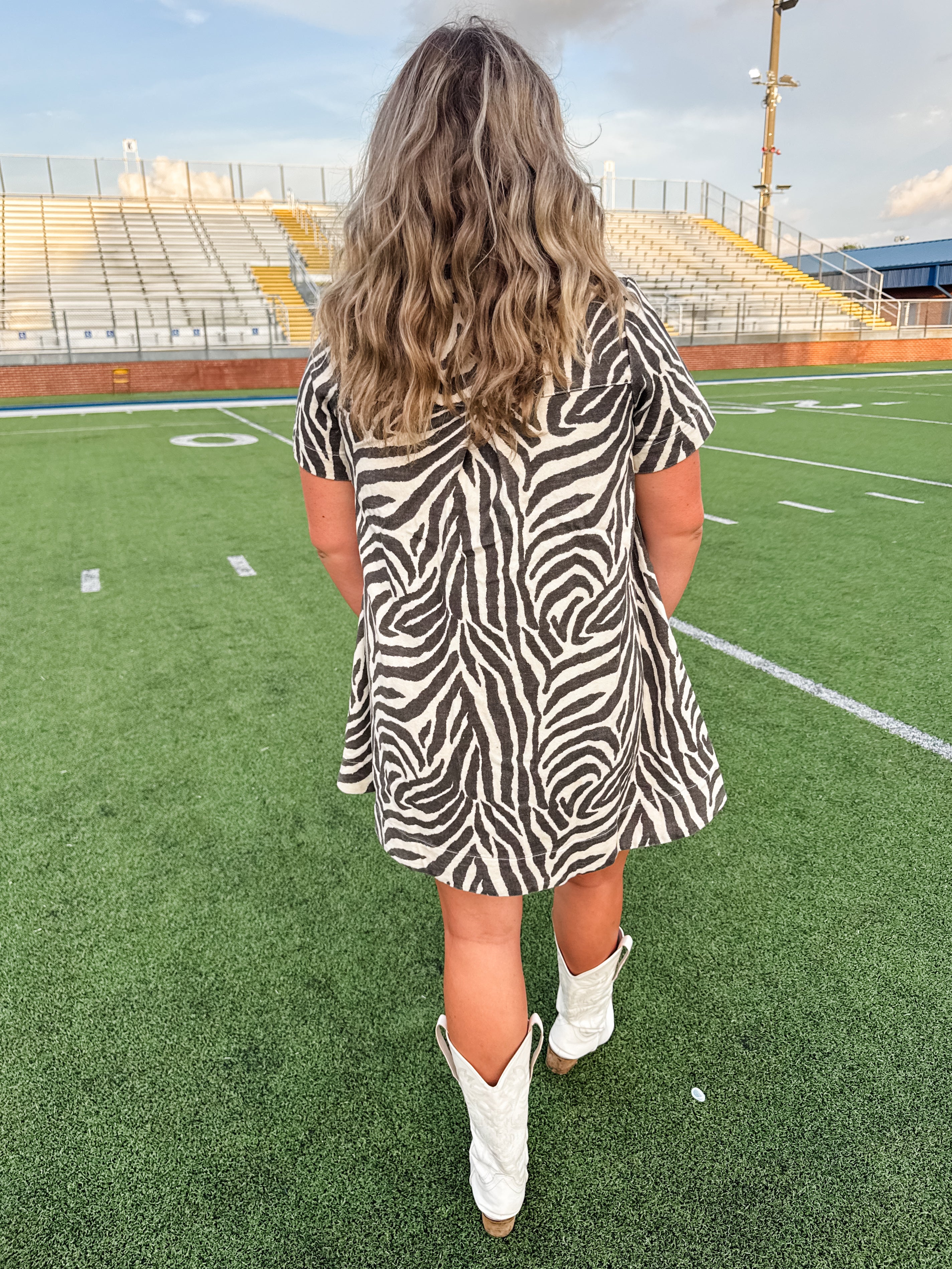 Eye of the Tiger Dress