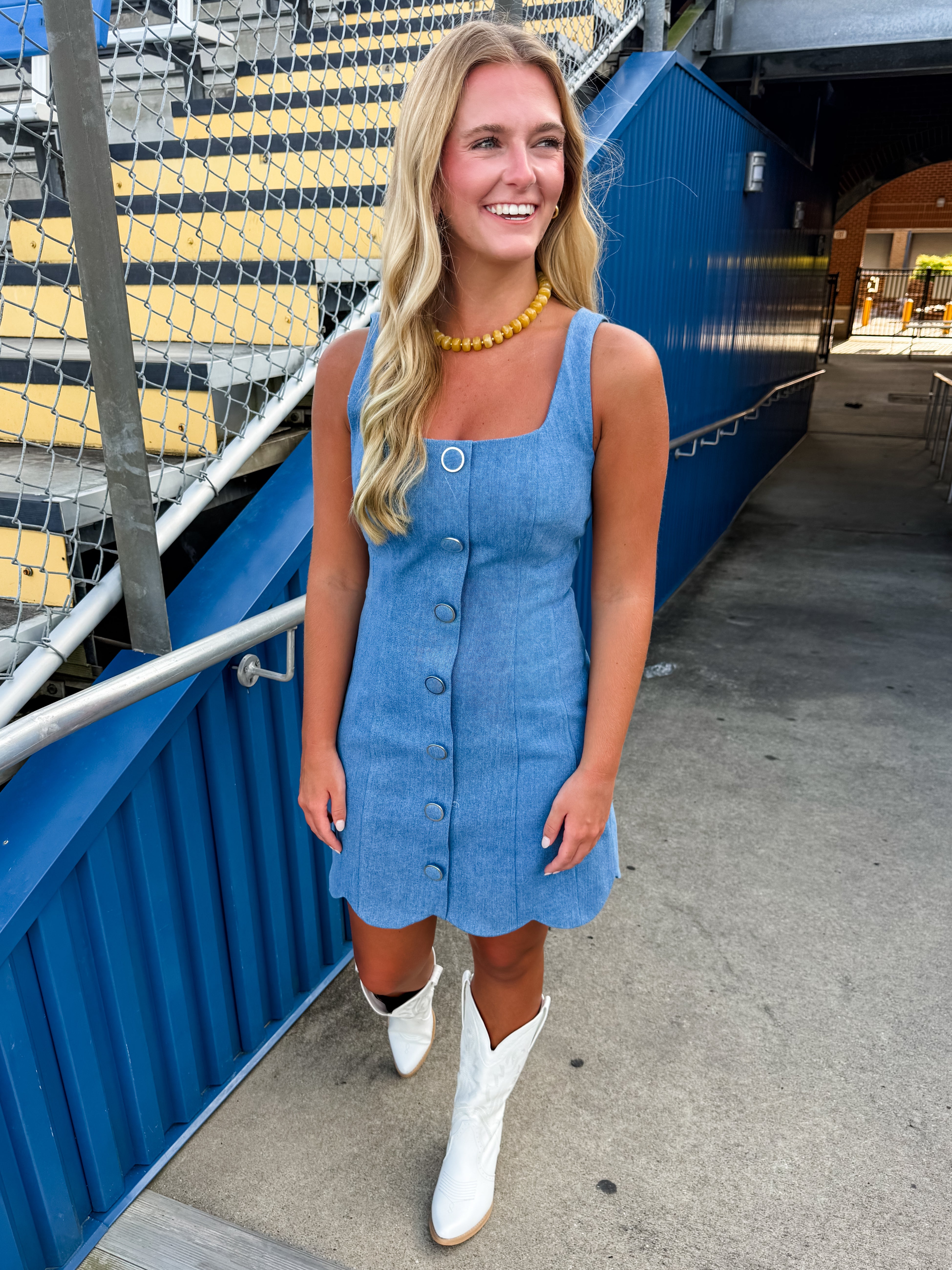 Darling in Denim Dress
