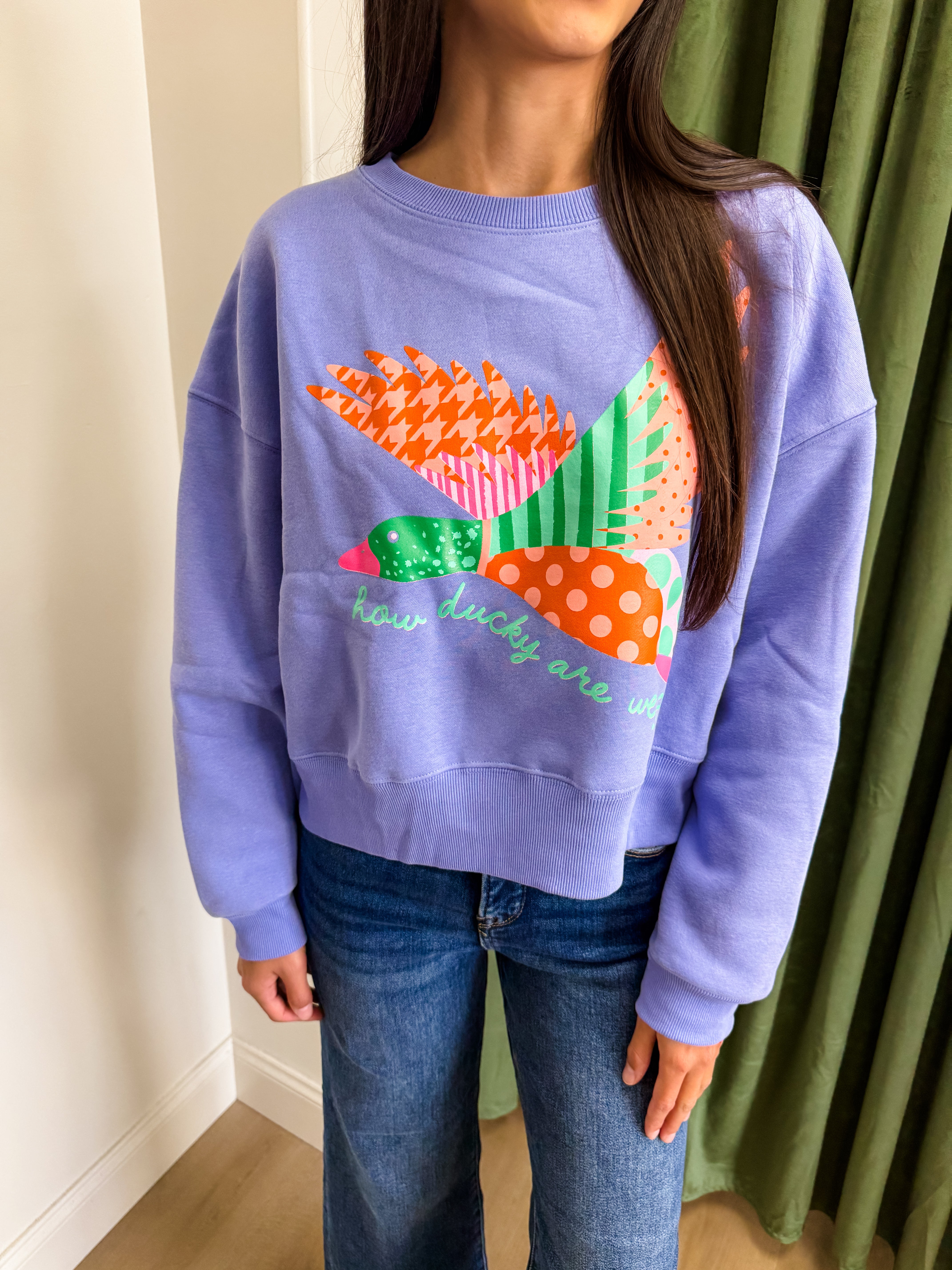 How Ducky Are We Crop Sweatshirt